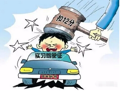 实习期驾驶员被记12分会怎样