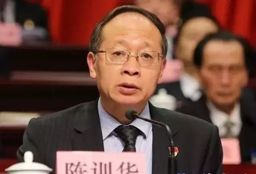 全国人大代表、贵州省安顺市长陈训华